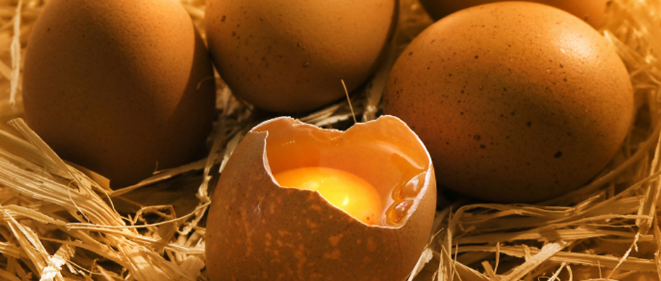Imagen huevos para introducir el apartado mejoradores de calidad de los alimentos