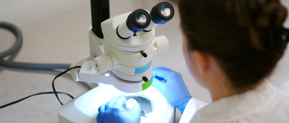Image of a researcher in laboratory