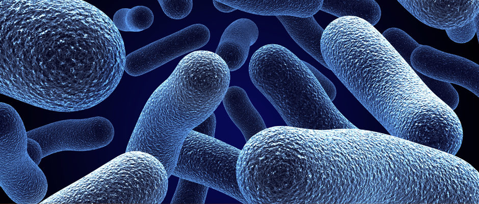 Imatge microbis per a introduir l'apartat agents antimicrobians